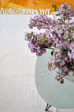 Load image into Gallery viewer, Light Pink 5'x'8 Accent Rug