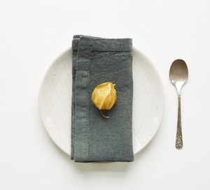 Linen Napkins Set of 4 Solid Colors